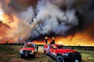 LA's Burning Crisis: Insurance and Policy Torn Apart