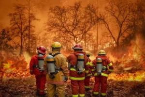 California LA Wildfires: Tackling Insurance Challenges